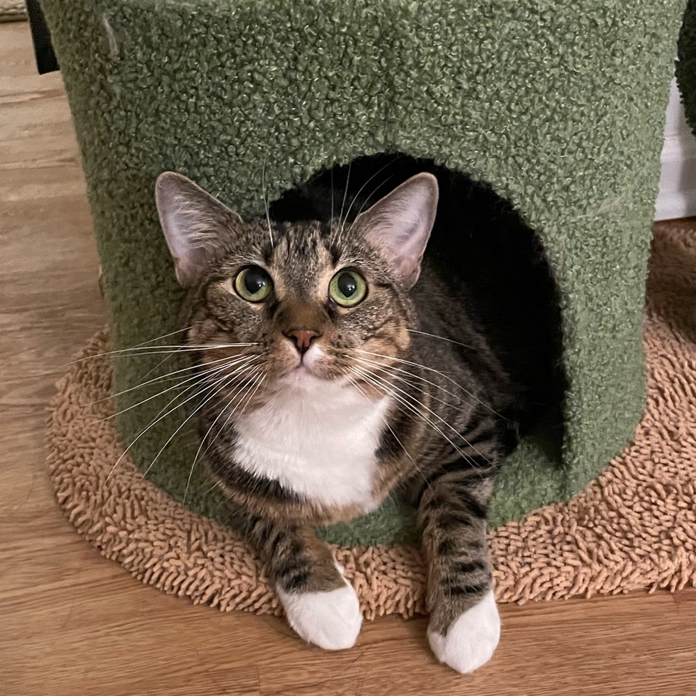 Meet your Posher, Mia